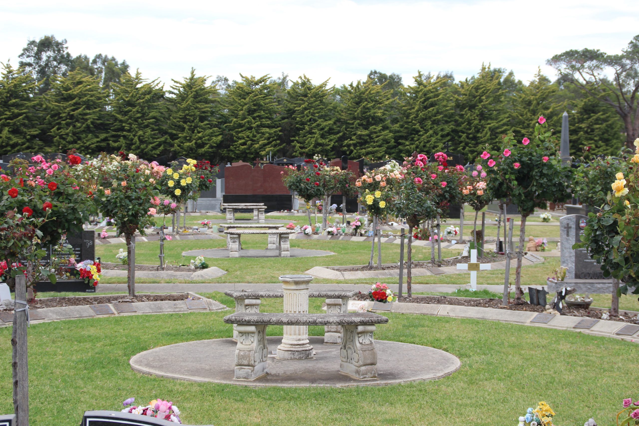 Yan Yean Cemetery Rose Garden Yan Yean Cemetery Rose Garden